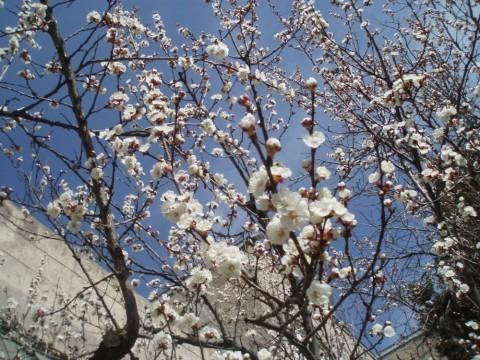 եղանակը Հայաստանում և Արցախում